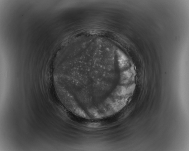 X0000085250653200703301811