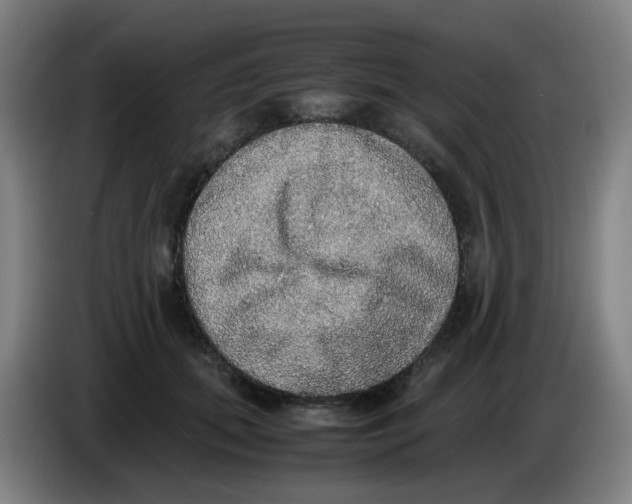 X0000085250655200703301811