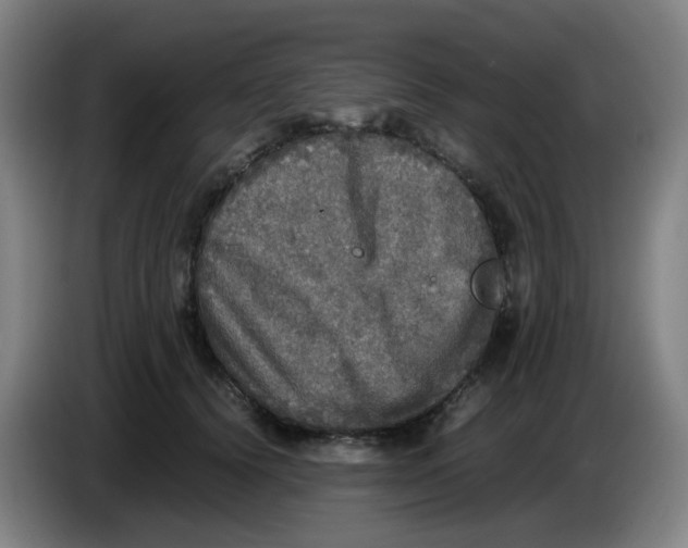 X0000085250656200703301811