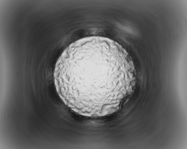 X0000085250657200703301811