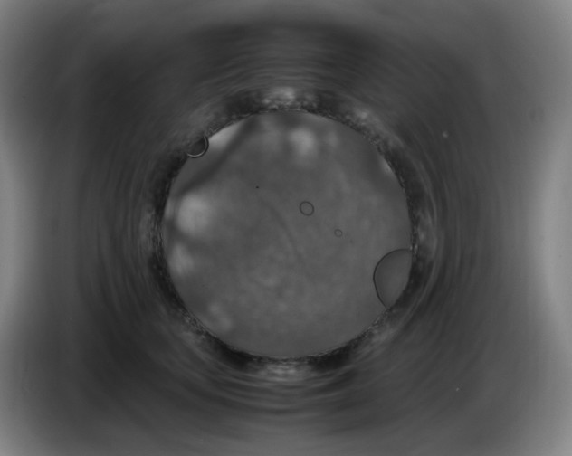 X0000085250659200703301811