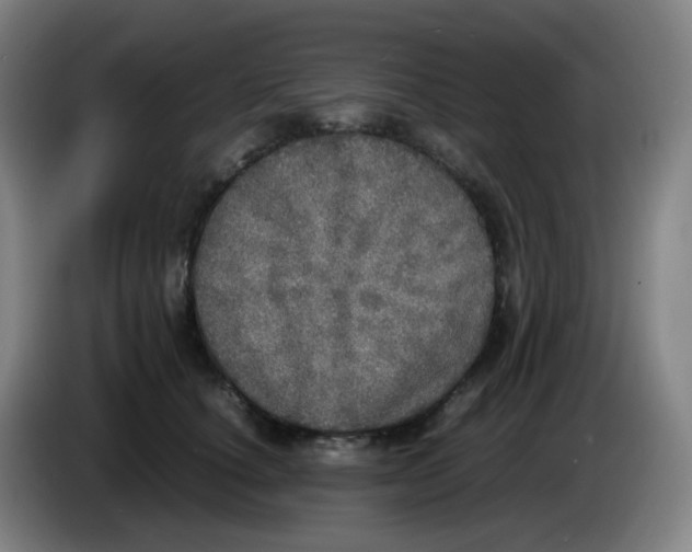 X0000085250660200703301811