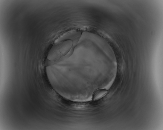 X0000085250661200703301811