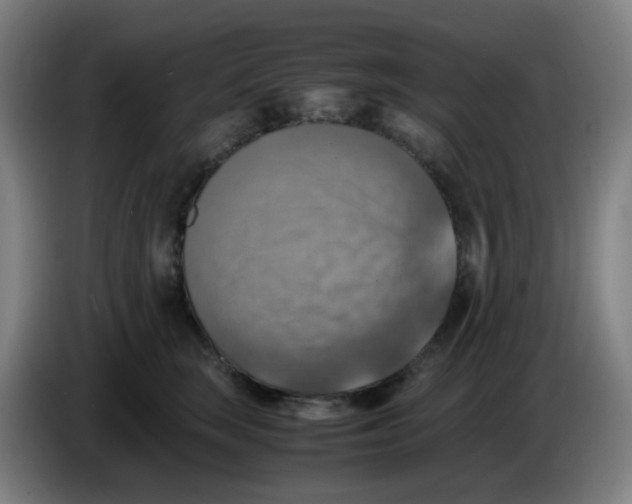 X0000085250663200703301811