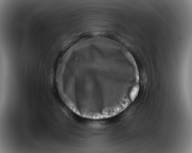 X0000085250664200703301811