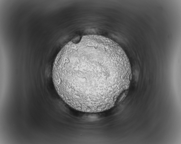 X0000085250665200703301811