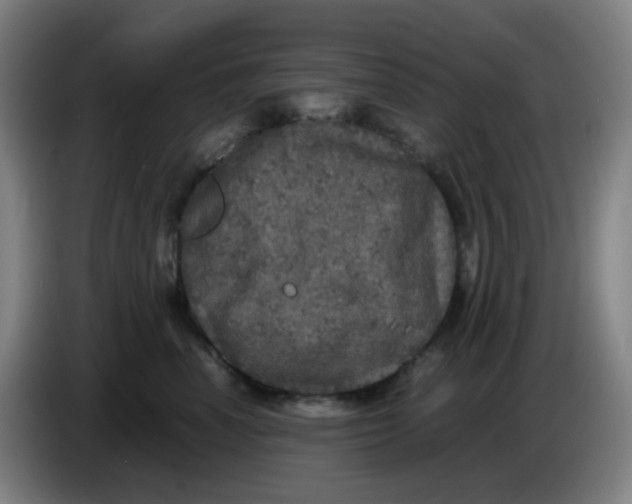 X0000085250666200703301811