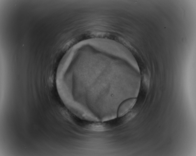 X0000085250668200703301811