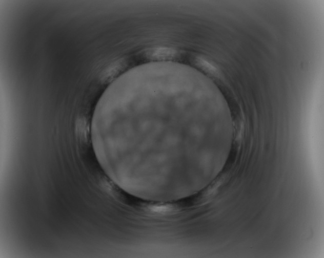 X0000085250669200703301811