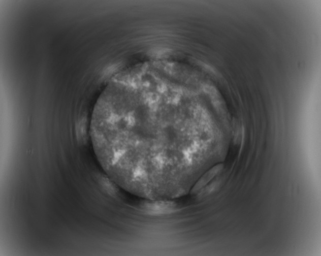 X0000085250670200703301811