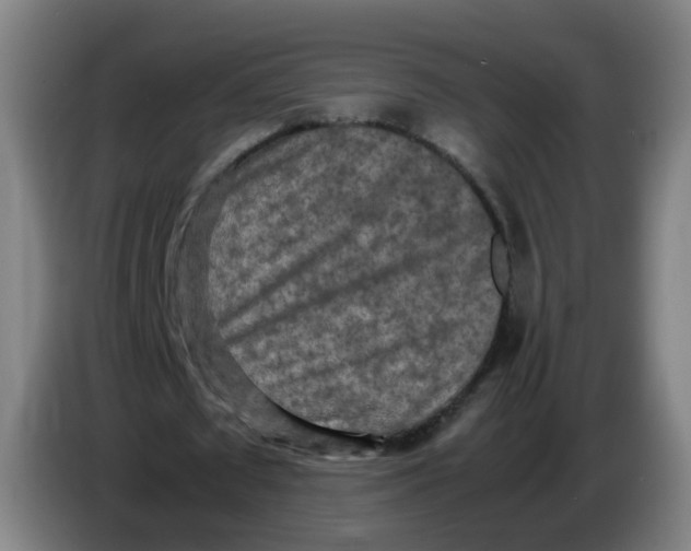 X0000085250673200703301811