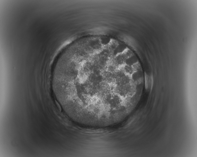 X0000085250675200703301811