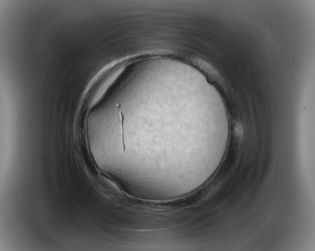 X0000085250676200703301811