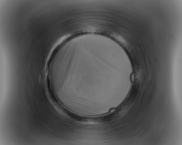 X0000085250678200703301811