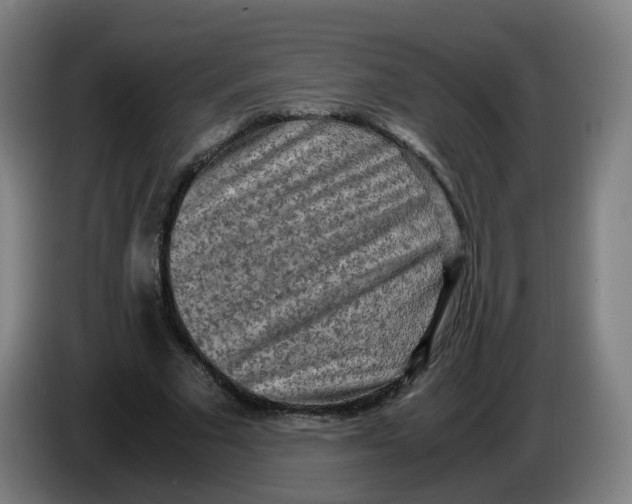 X0000085250681200703301811