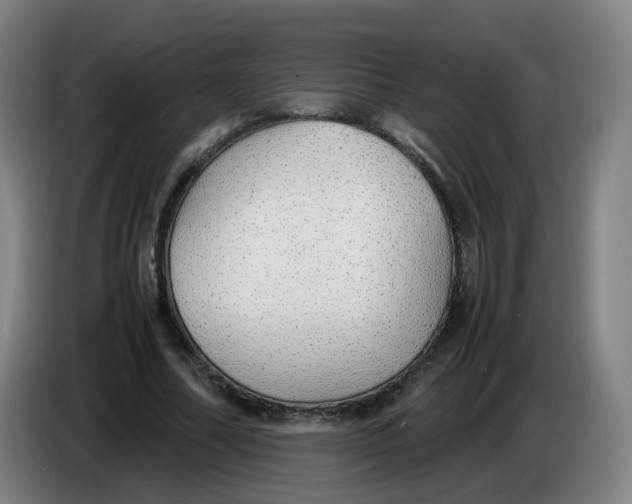 X0000085250682200703301811