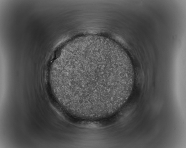 X0000085250683200703301811