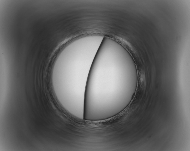 X0000085250684200703301811