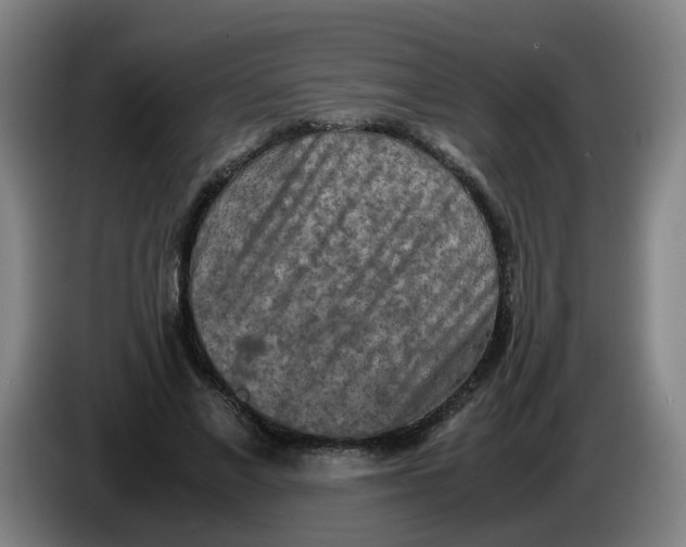 X0000085250685200703301811