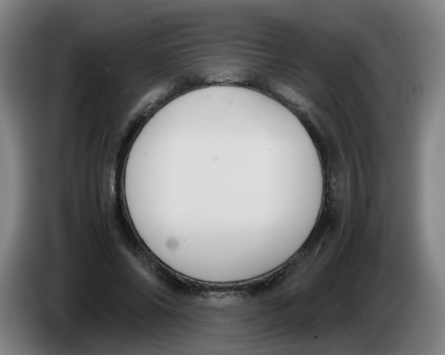 X0000085250686200703301811