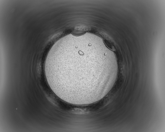 X0000085250690200703301811