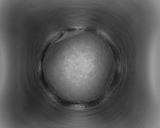 X0000085250692200703301811