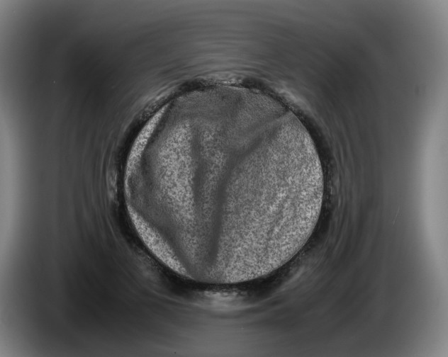 X0000085250693200703301811