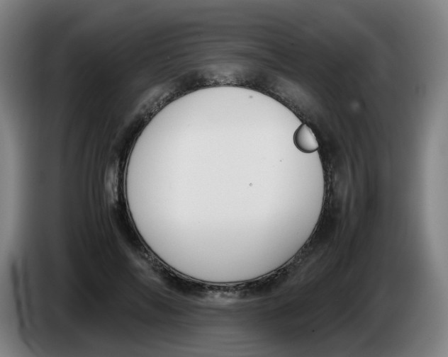 X0000085250694200703301810