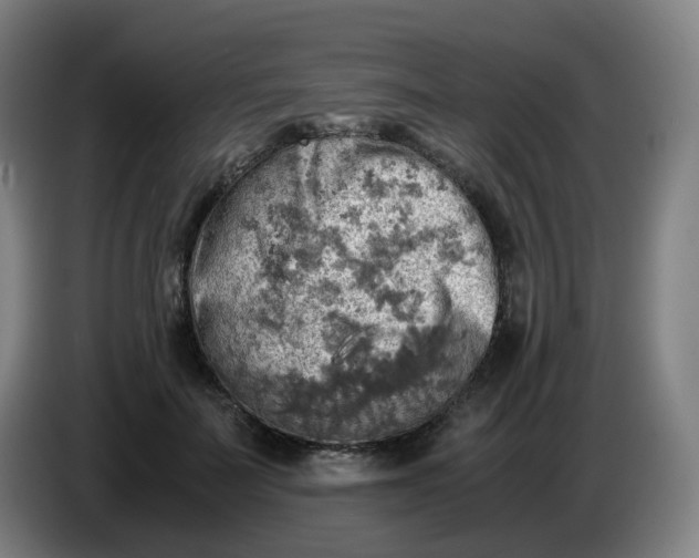 X0000085250699200703301810