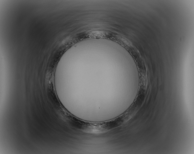 X0000085250701200703301810