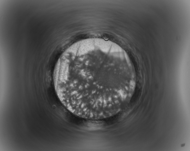 X0000085250707200703301810