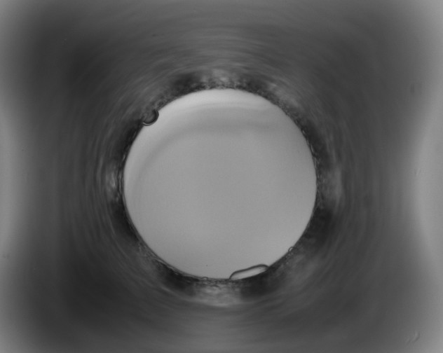 X0000085250709200703301810