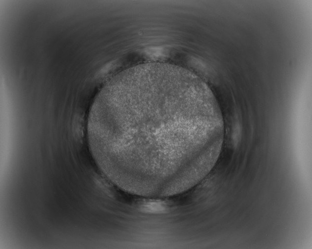 X0000085250710200703301810