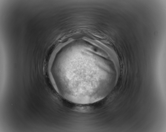 X0000085250712200703301810