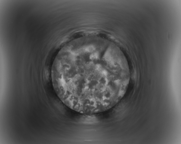 X0000085250715200703301810