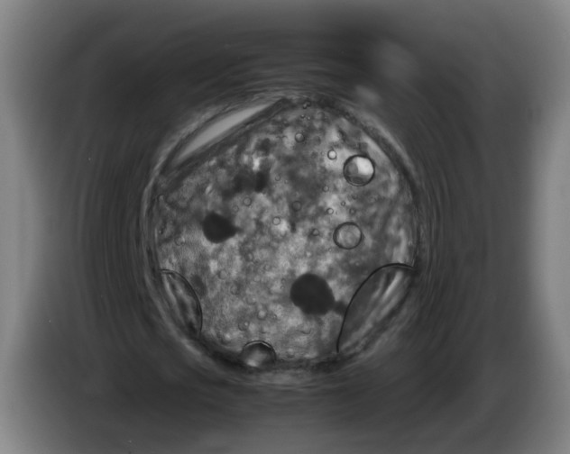 X0000085250721200703301809