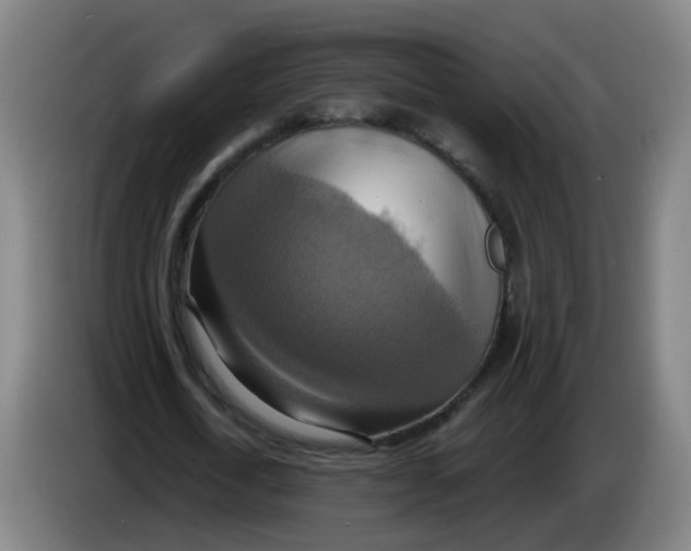 X0000085250722200703301809