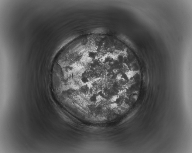 X0000085250725200703301809