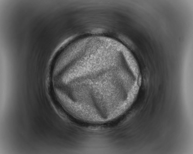 X0000085250728200703301810