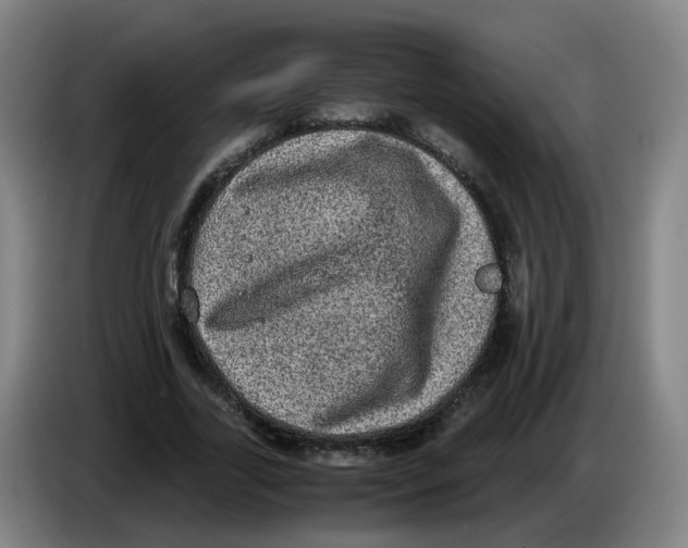 X0000085250731200703301810