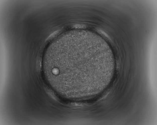 X0000085250733200703301810