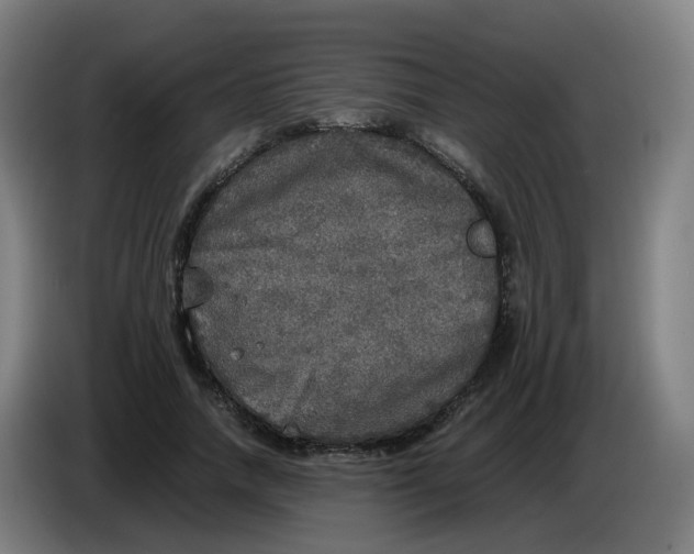 X0000085250738200703301810