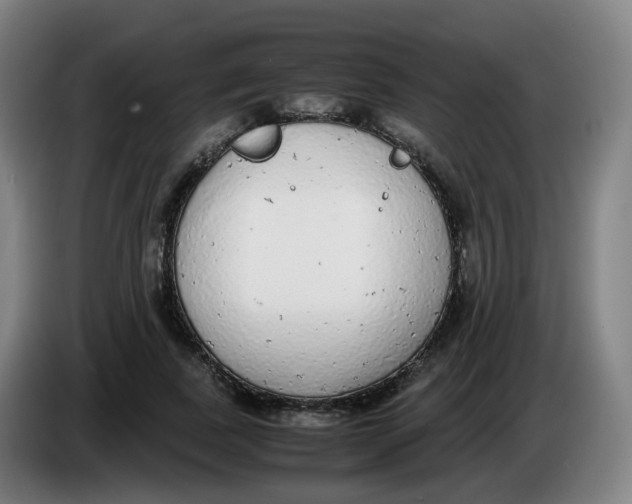 X0000085250739200703301810