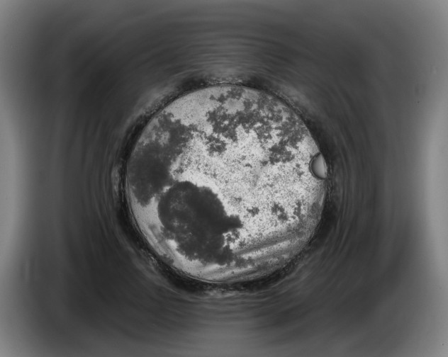 X0000085250742200703301810