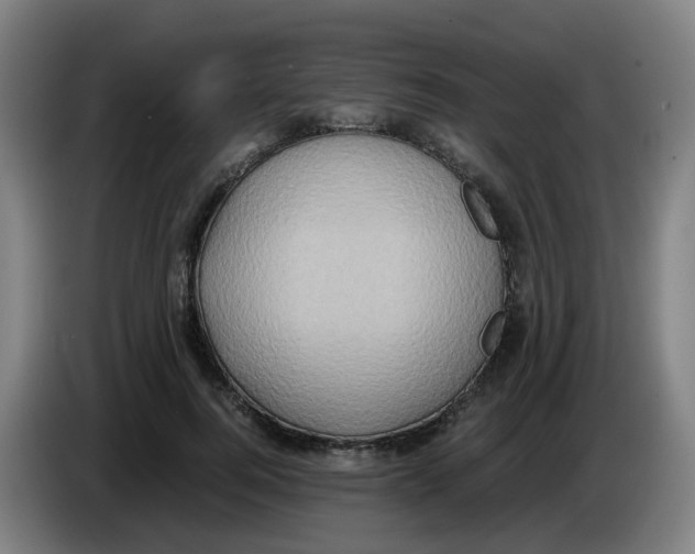 X0000085250744200703301810