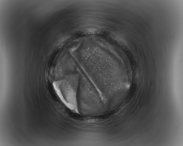 X0000085250746200703301810