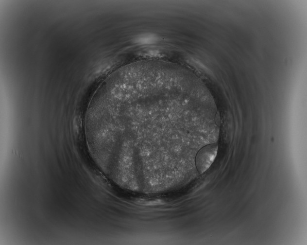 X0000085250747200703301810