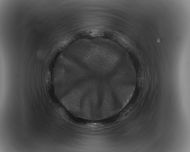 X0000085250748200703301810