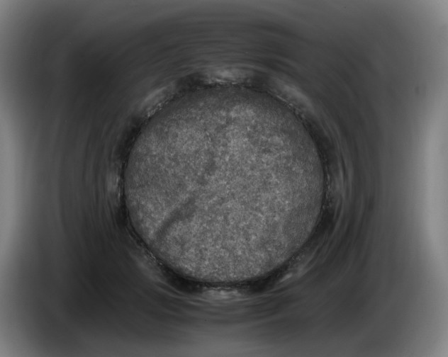 X0000085250749200703301810