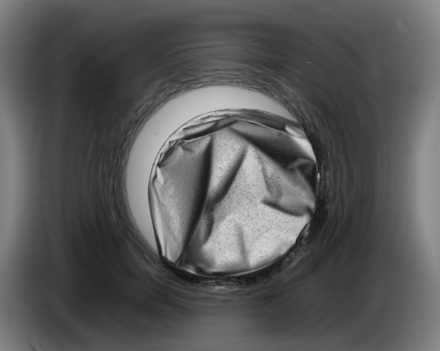 X0000085250750200703301810